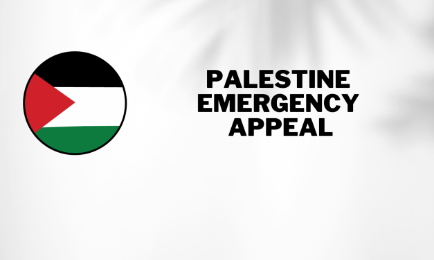 Palestine Need Your Support!